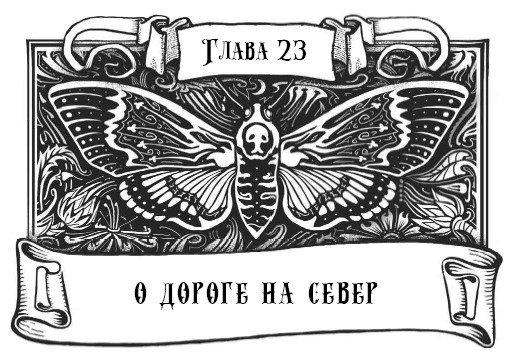 Иллюстрация к книге — Миднайт. 1. Наместник ночи [i_048.jpg]