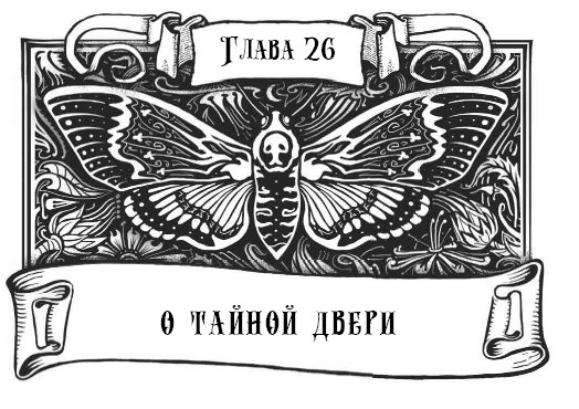 Иллюстрация к книге — Миднайт. 1. Наместник ночи [i_054.jpg]