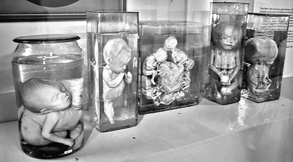 Иллюстрация к книге — Цареубийца. Подлинные мемуары графа Орлова [i_110.jpg]