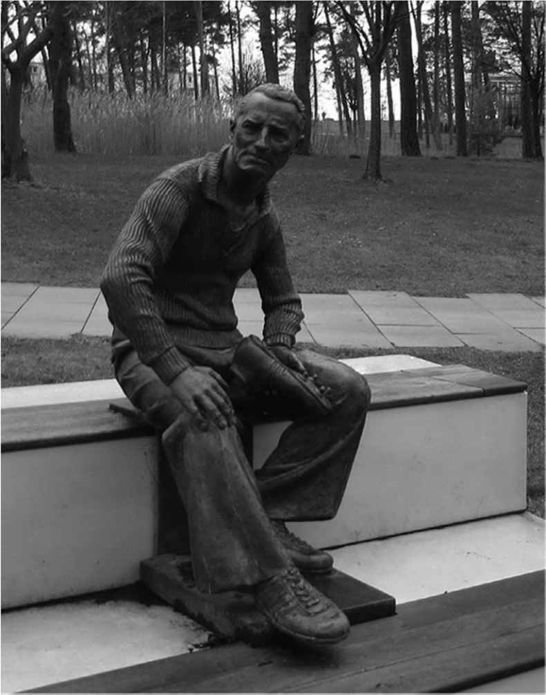 Иллюстрация к книге — Кроссовки. Культурная биография спортивной обуви [i_002.jpg]