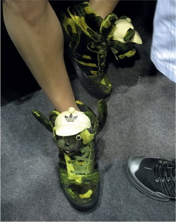 Иллюстрация к книге — Кроссовки. Культурная биография спортивной обуви [i_038.jpg]