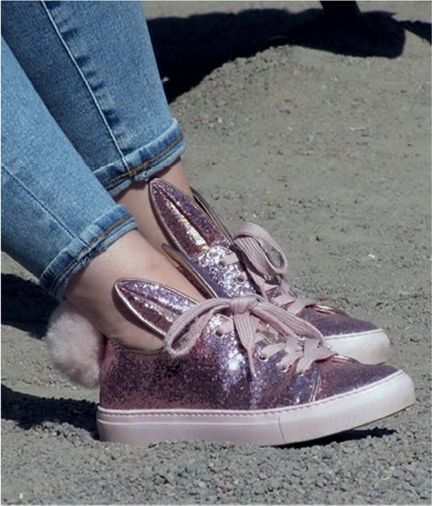 Иллюстрация к книге — Кроссовки. Культурная биография спортивной обуви [i_039.jpg]