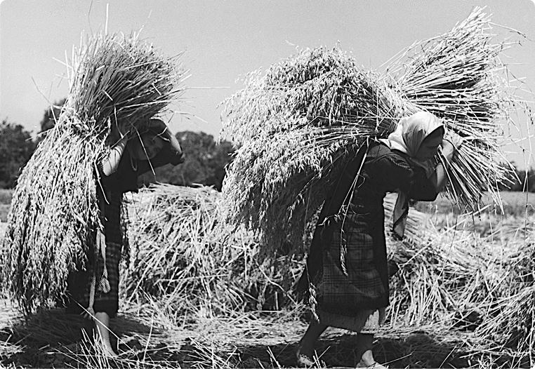 Иллюстрация к книге — Балканы. Окраины империй [i_042.jpg]