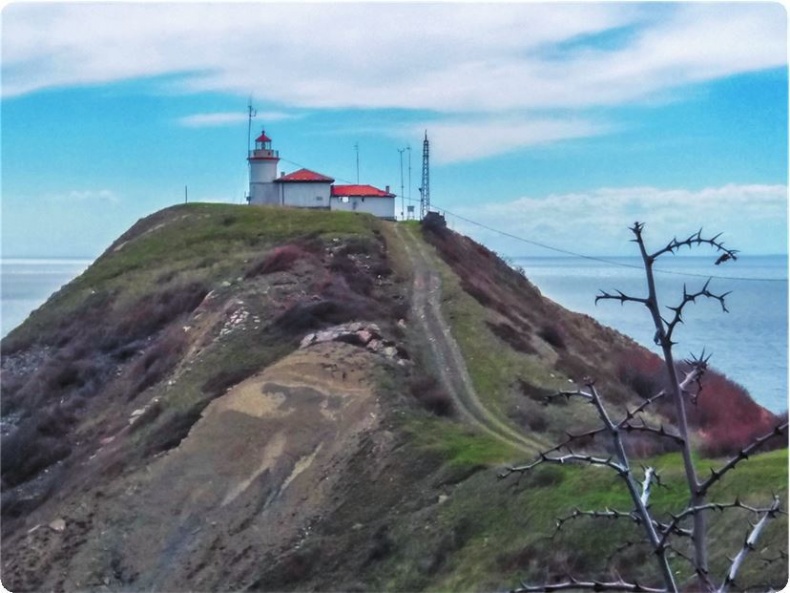 Иллюстрация к книге — Балканы. Окраины империй [i_209.jpg]