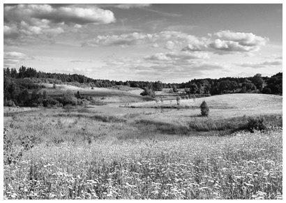 Иллюстрация к книге — Счастливый город. Как городское планирование меняет нашу жизнь [i_017.jpg]