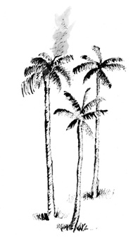 Иллюстрация к книге — Гавана. Столица парадоксов [i_005.jpg]