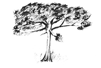 Иллюстрация к книге — Гавана. Столица парадоксов [i_006.jpg]