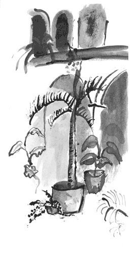 Иллюстрация к книге — Гавана. Столица парадоксов [i_021.jpg]