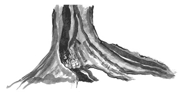 Иллюстрация к книге — Гавана. Столица парадоксов [i_022.jpg]