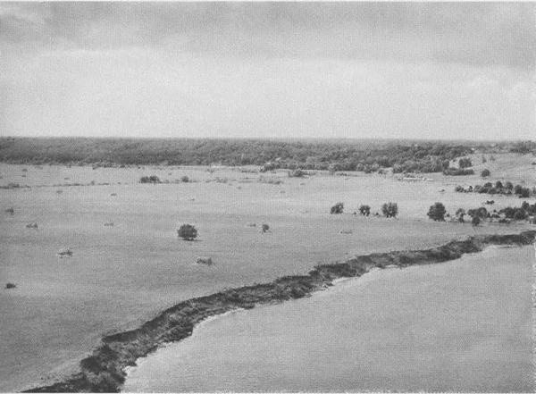 Иллюстрация к книге — Дмитрий Донской [i_052.jpg]