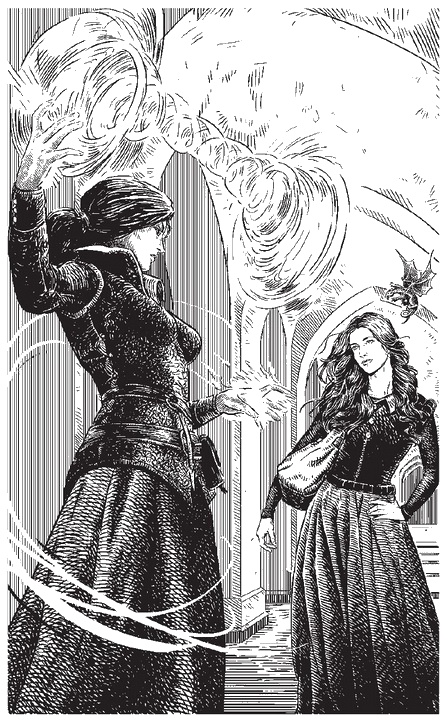 Иллюстрация к книге — Черная ведьма в академии драконов [i_001.jpg]