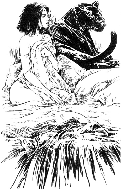 Иллюстрация к книге — Хищник цвета ночи [i_001.jpg]