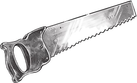 Иллюстрация к книге — Страна сказок. Столкновение миров [i_014.jpg]