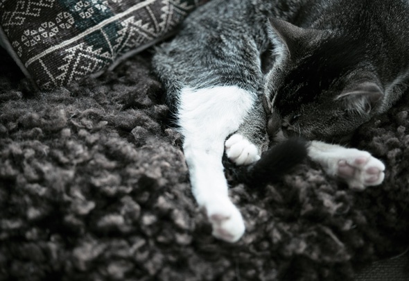 Иллюстрация к книге — Книга hygge. Искусство жить здесь и сейчас [i_003.jpg]