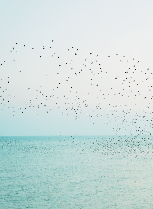 Иллюстрация к книге — Книга hygge. Искусство жить здесь и сейчас [i_010.jpg]