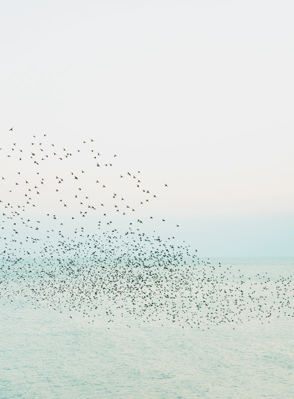 Иллюстрация к книге — Книга hygge. Искусство жить здесь и сейчас [i_011.jpg]