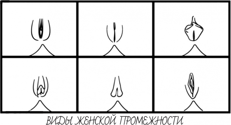 Иллюстрация к книге — Project Woman. Тонкости настройки женского организма. Узнай, как работает твое тело [i_001.jpg]