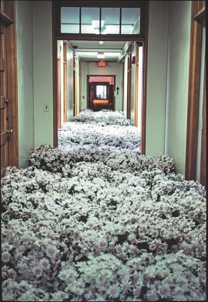 Иллюстрация к книге — Смотреть и видеть [i_005.jpg]