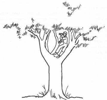 Иллюстрация к книге — Руководство по выживанию среди зомби: всё о защите от живых мертвецов [_067.jpg]