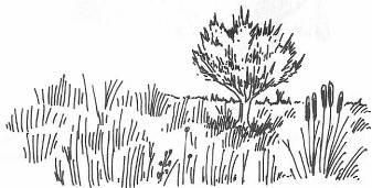 Иллюстрация к книге — Руководство по выживанию среди зомби: всё о защите от живых мертвецов [_080.jpg]