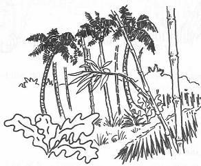 Иллюстрация к книге — Руководство по выживанию среди зомби: всё о защите от живых мертвецов [_085.jpg]