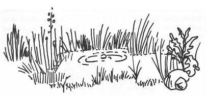 Иллюстрация к книге — Руководство по выживанию среди зомби: всё о защите от живых мертвецов [_086.jpg]