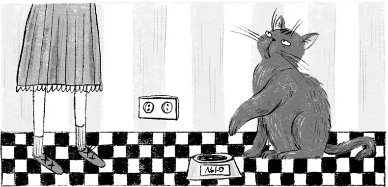 Иллюстрация к книге — Синьорина Корица [i_006.jpg]