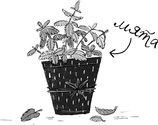 Иллюстрация к книге — Синьорина Корица [i_018.jpg]