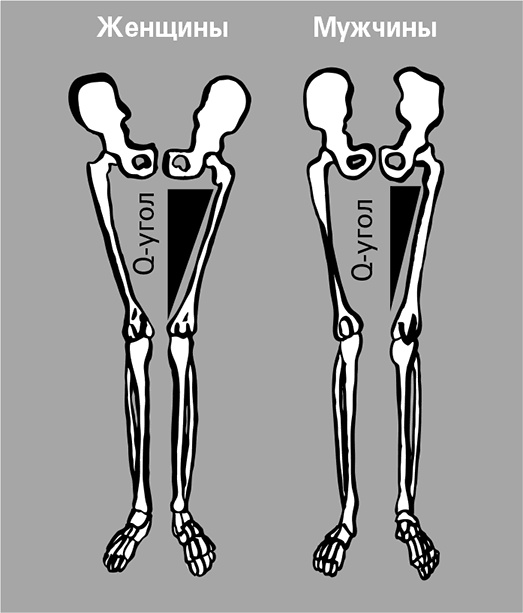 Иллюстрация к книге — Безжалостный курс тренировок для целеустремленных [i_003.jpg]