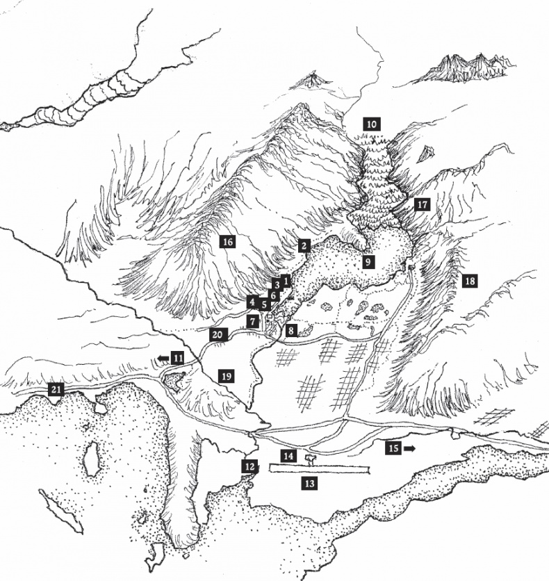 Иллюстрация к книге — Волк по имени Ромео. Как дикий зверь покорил сердца целого города [i_002.jpg]