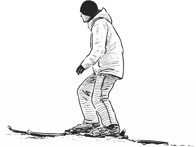 Иллюстрация к книге — Волк по имени Ромео. Как дикий зверь покорил сердца целого города [i_004.jpg]