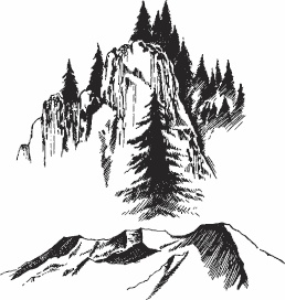 Иллюстрация к книге — Волк по имени Ромео. Как дикий зверь покорил сердца целого города [i_009.jpg]