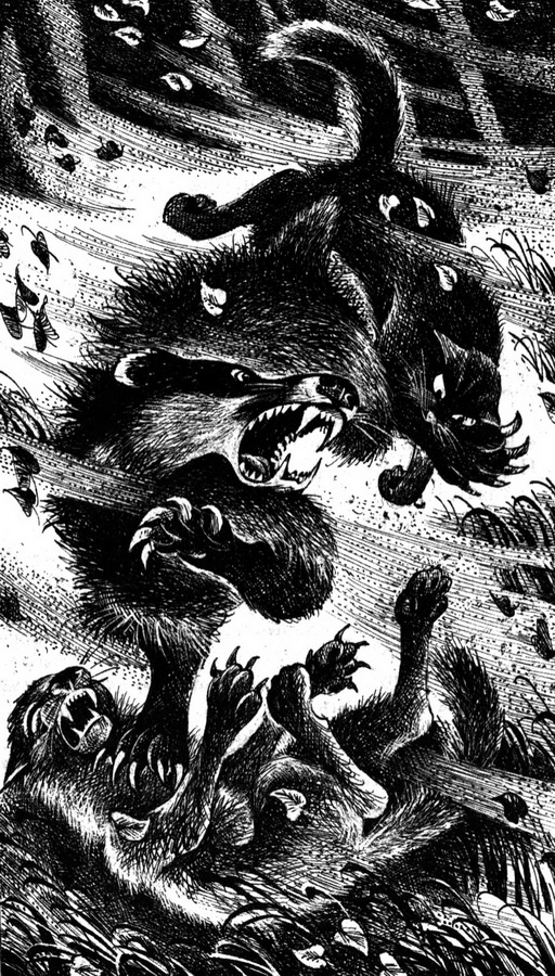 Иллюстрация к книге — Время Выбора [pic_2.jpg]