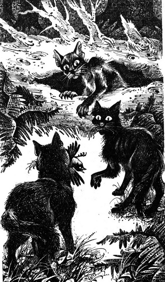 Иллюстрация к книге — Время Выбора [pic_4.jpg]