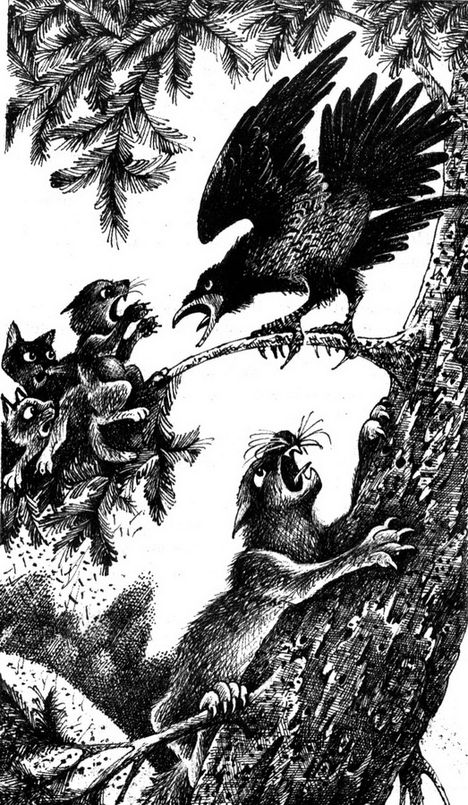 Иллюстрация к книге — Время Выбора [pic_5.jpg]