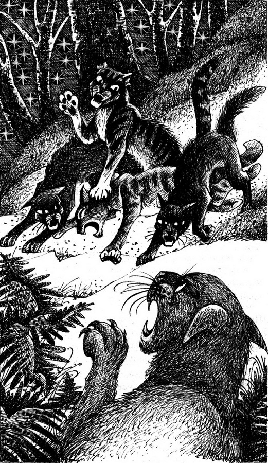 Иллюстрация к книге — Время Выбора [pic_6.jpg]