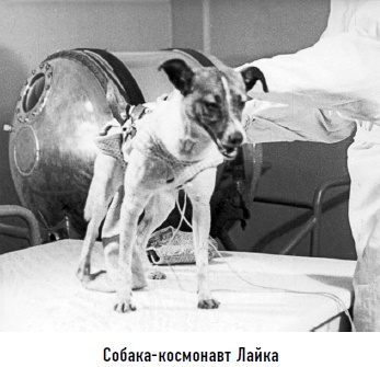 Иллюстрация к книге — Гости из космоса. Факты. Доказательства. Расследования [i_064.jpg]