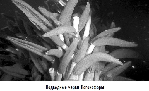 Иллюстрация к книге — Гости из космоса. Факты. Доказательства. Расследования [i_081.jpg]