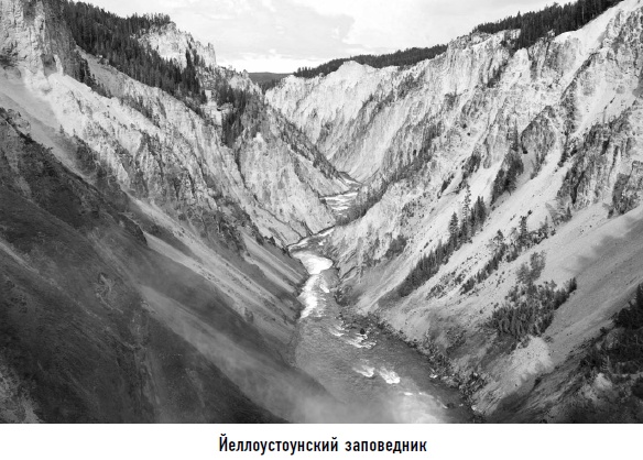 Иллюстрация к книге — Гости из космоса. Факты. Доказательства. Расследования [i_090.jpg]