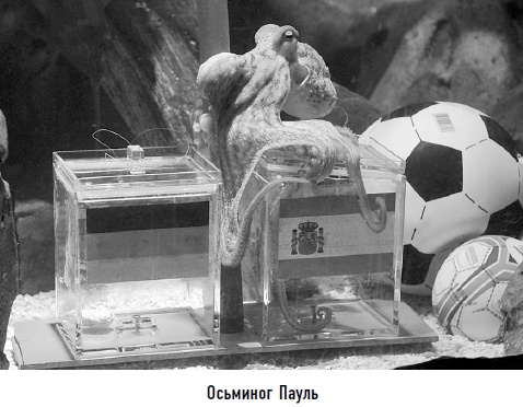 Иллюстрация к книге — Гости из космоса. Факты. Доказательства. Расследования [i_096.jpg]