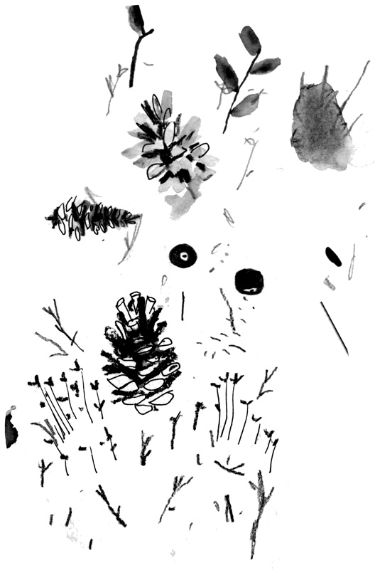 Иллюстрация к книге — Вратарь и море [i_012.jpg]