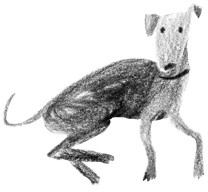 Иллюстрация к книге — Вратарь и море [i_015.jpg]