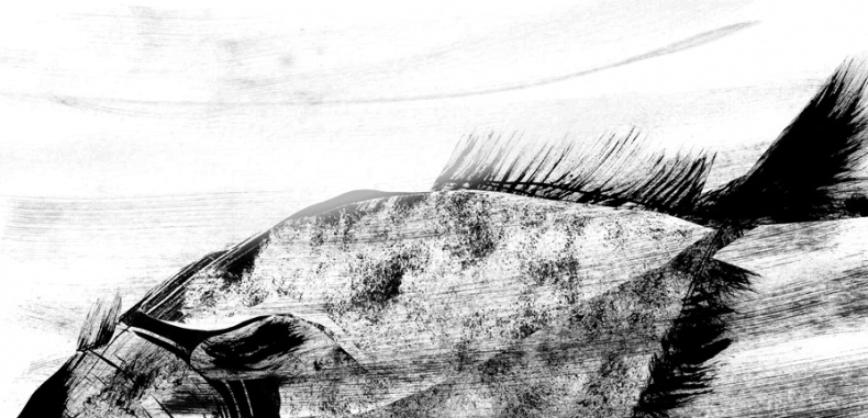 Иллюстрация к книге — Вратарь и море [i_066.jpg]