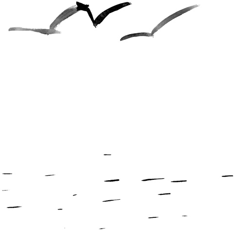 Иллюстрация к книге — Вратарь и море [i_076.jpg]