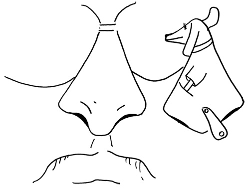 Иллюстрация к книге — Привязанность [i_011.jpg]