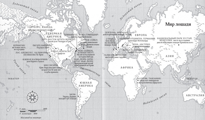 Иллюстрация к книге — Лошадь. Биография нашего благородного спутника [i_001.jpg]