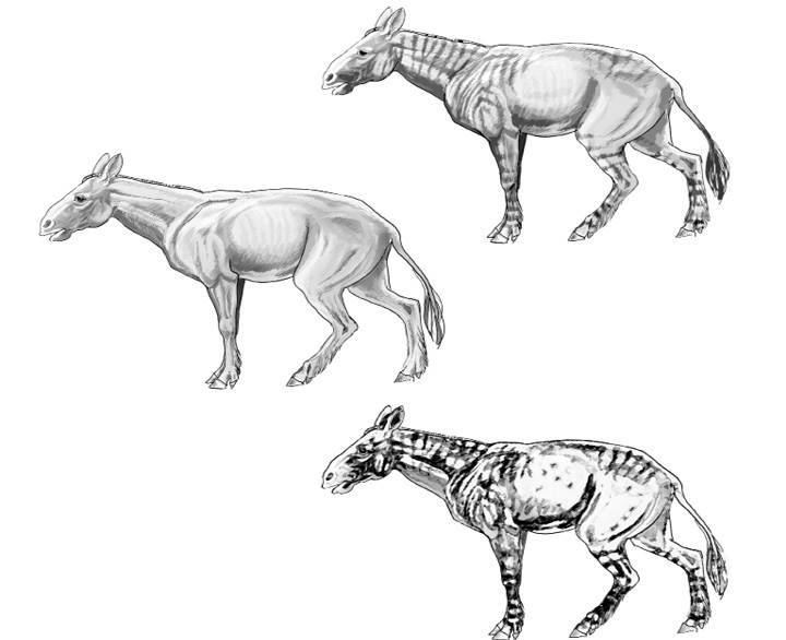 Иллюстрация к книге — Лошадь. Биография нашего благородного спутника [i_008.jpg]