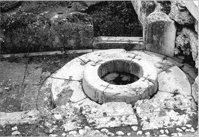 Иллюстрация к книге — Богини: тайны женской божественной сущности [i_127.jpg]