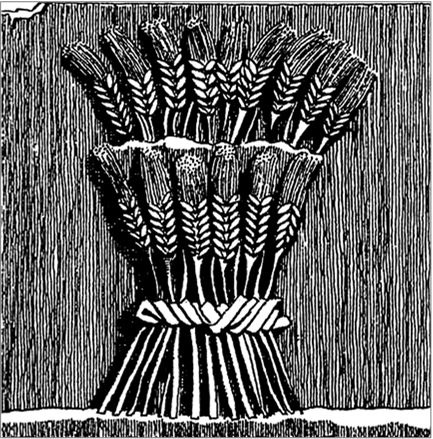 Иллюстрация к книге — Богини: тайны женской божественной сущности [i_136.jpg]