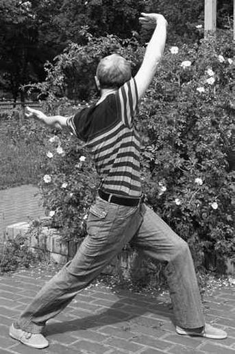 Иллюстрация к книге — Ци-Гун Пяти зверей. Правда и сказка [_17.jpg]